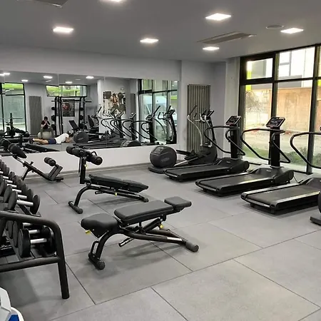 Alezzi Sylver 1 アパート *